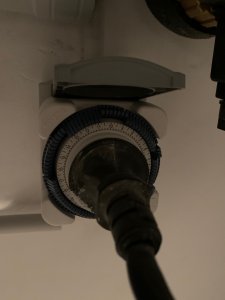 IMG_7768.jpeg