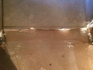 IMG_5598[1].jpg