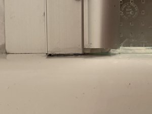 IMG_0344.jpg