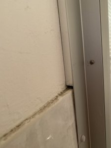 IMG_0348.jpg
