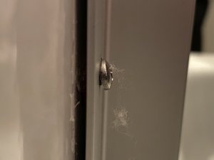 IMG_0349.jpg
