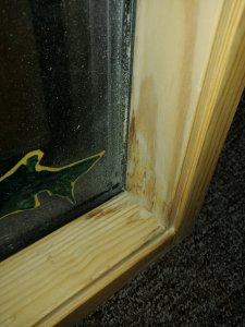 Fenster_Wasserschaden.jpg