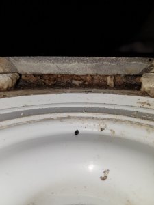 20191124_192153.jpg