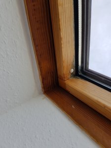 20191125_113714.jpg