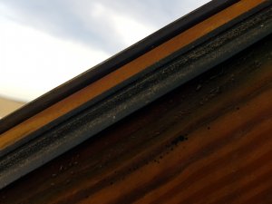 20191125_113739.jpg