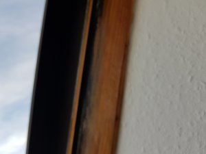 20191125_113747.jpg