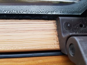20191126_080914.jpg