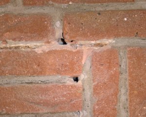 wand3.jpg
