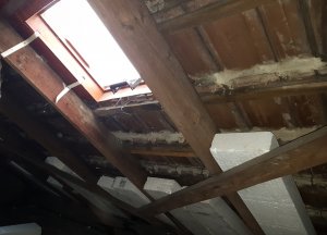 20191204_183346.jpg