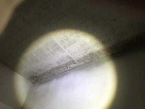 8572CBCE-E5B1-46EF-A4AC-9313173F17D0.jpeg