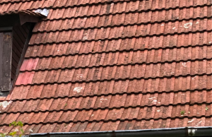 Bildschirmfoto 2019-12-08 um 13.11.08.png