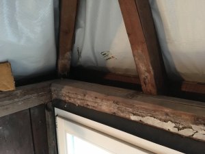 img_9979.jpg