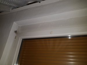 20191201_162133.jpg