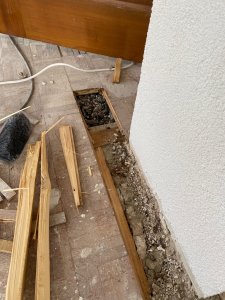 IMG_0821.jpeg
