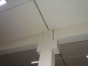 DSC09793.JPG