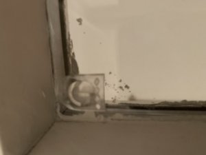 B35C34DE-A4E3-43C9-A291-5E099F2EC7FE.jpeg