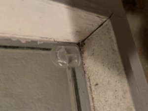 439547B7-2558-49C6-A2DA-3ACACCDB168A.jpeg