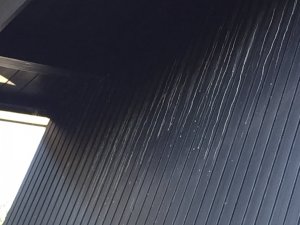 D8511A8B-F522-4B92-924A-7A1932FDE369.jpeg