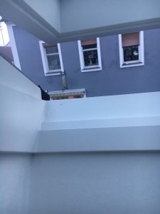 1014A809-6A76-4A5C-B555-5FDC5BFFFA04.jpeg