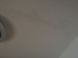 19B4612B-C05F-4C43-9DEF-80516EDE8FF9.jpeg