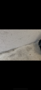 F7C71B5C-1683-4062-B42B-4F685722823D.png
