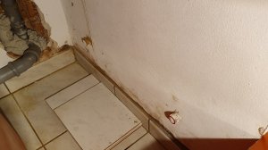20191225_114136.jpg