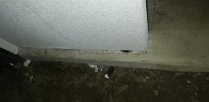 IMG_20191210_192006.jpg