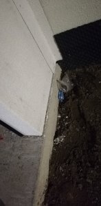 IMG_20191210_191919.jpg