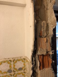 IMG_5333.jpg