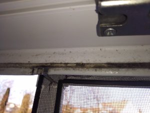 IMG_20191205_085211210.jpg