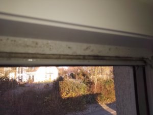 IMG_20191205_085226071.jpg