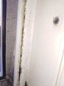 IMG_20191205_085235893.jpg