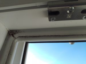 IMG_20191229_105359892.jpg