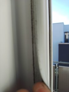 IMG_20191229_105747894.jpg