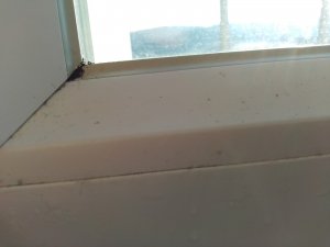 IMG_20191229_105032097.jpg
