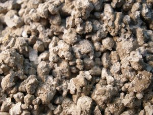 frische Bruchkante (Mittel).JPG