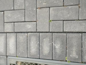 IMG_20191230_152752.jpg