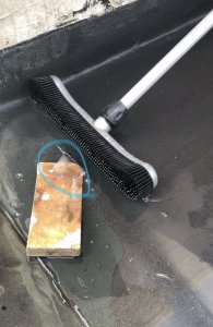 3232F1E8-E0D8-4E7C-9102-92317C27216C.jpeg