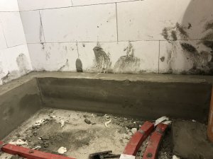 F2F6DF27-578E-4070-A0F7-E42383E21747.jpeg