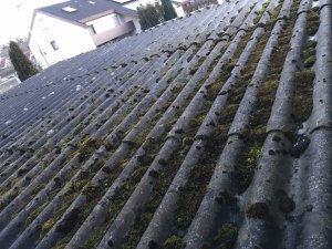 8D56AB52-5A04-4064-B5B3-FF30069EE998.jpeg