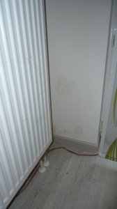 P1020135.JPG