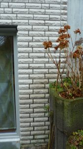P1020152 (Groß).jpeg