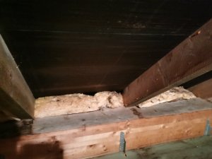 IMG_20200107_173810.jpg