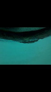 Screenshot_20200108-142419_Gallery (2).jpg