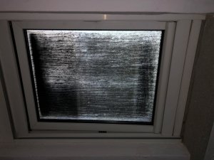 Fenster.jpg