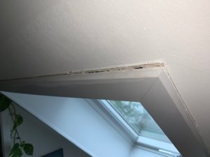 IMG_3373.jpg