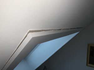 IMG_3374.jpg