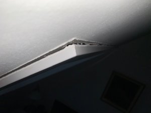 IMG_3375.jpg