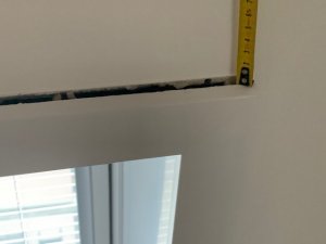IMG_3377.jpg