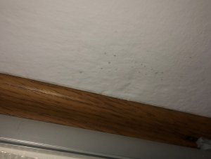 Aussenwand SZ mitte.jpg